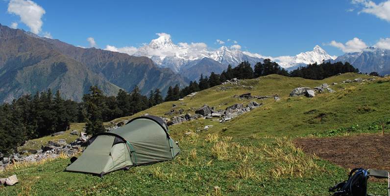 kauri as trekking in india