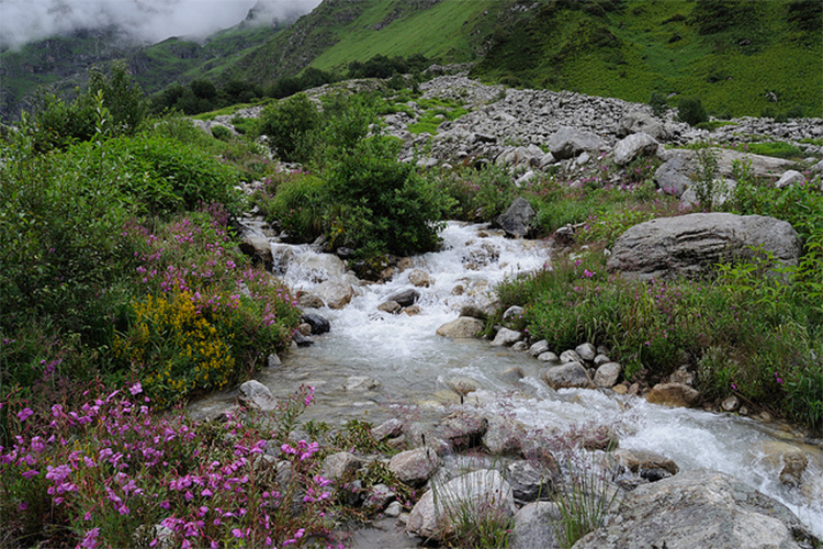 valley of flower trek trek