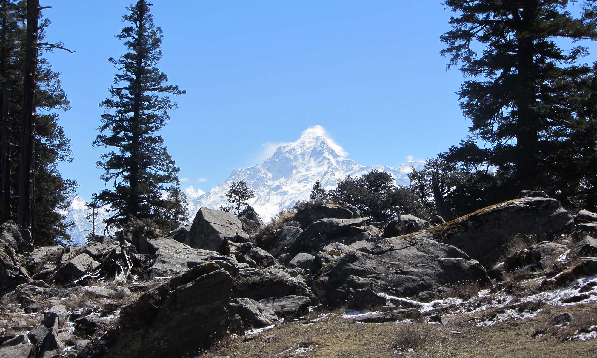 yoga trek in india